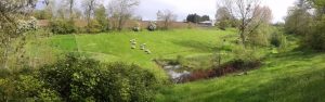 A greener country outside the EU?