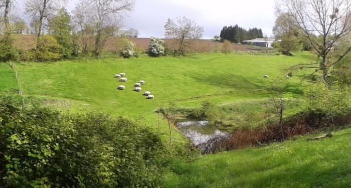 A greener country outside the EU?