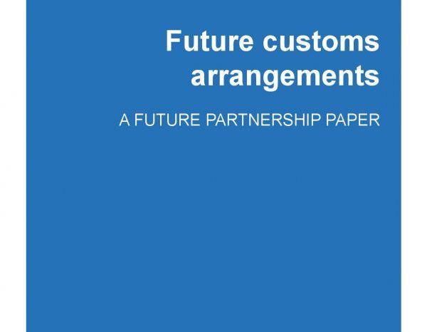 Customs: What the Government position paper told us