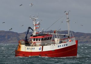 Fisheries Part 5: Brexit must mean Brexit