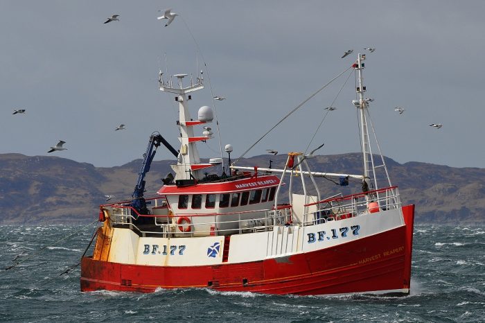Fisheries Part 5: Brexit must mean Brexit