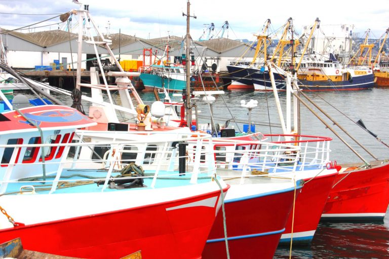 Ban on pulse fishing post-Brexit must be honoured