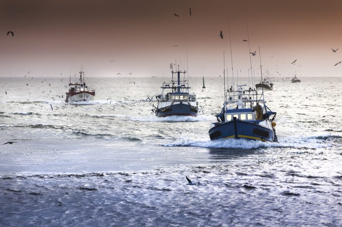 Brexit and Fisheries: A French View
