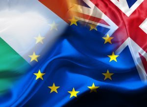 Important new book on Ireland and the EU by Ray Bassett