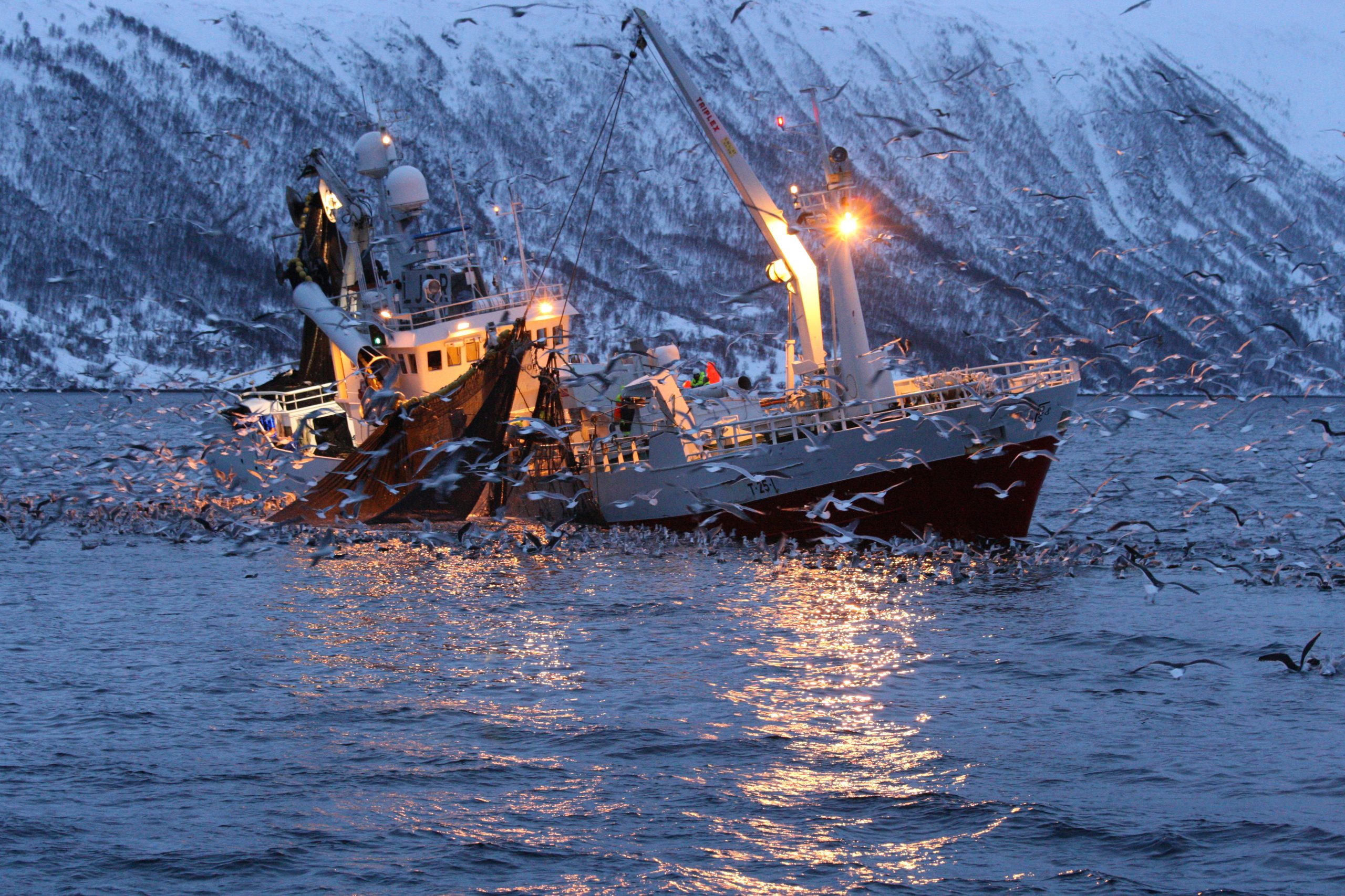 What Norway can teach the EU about sovereignty