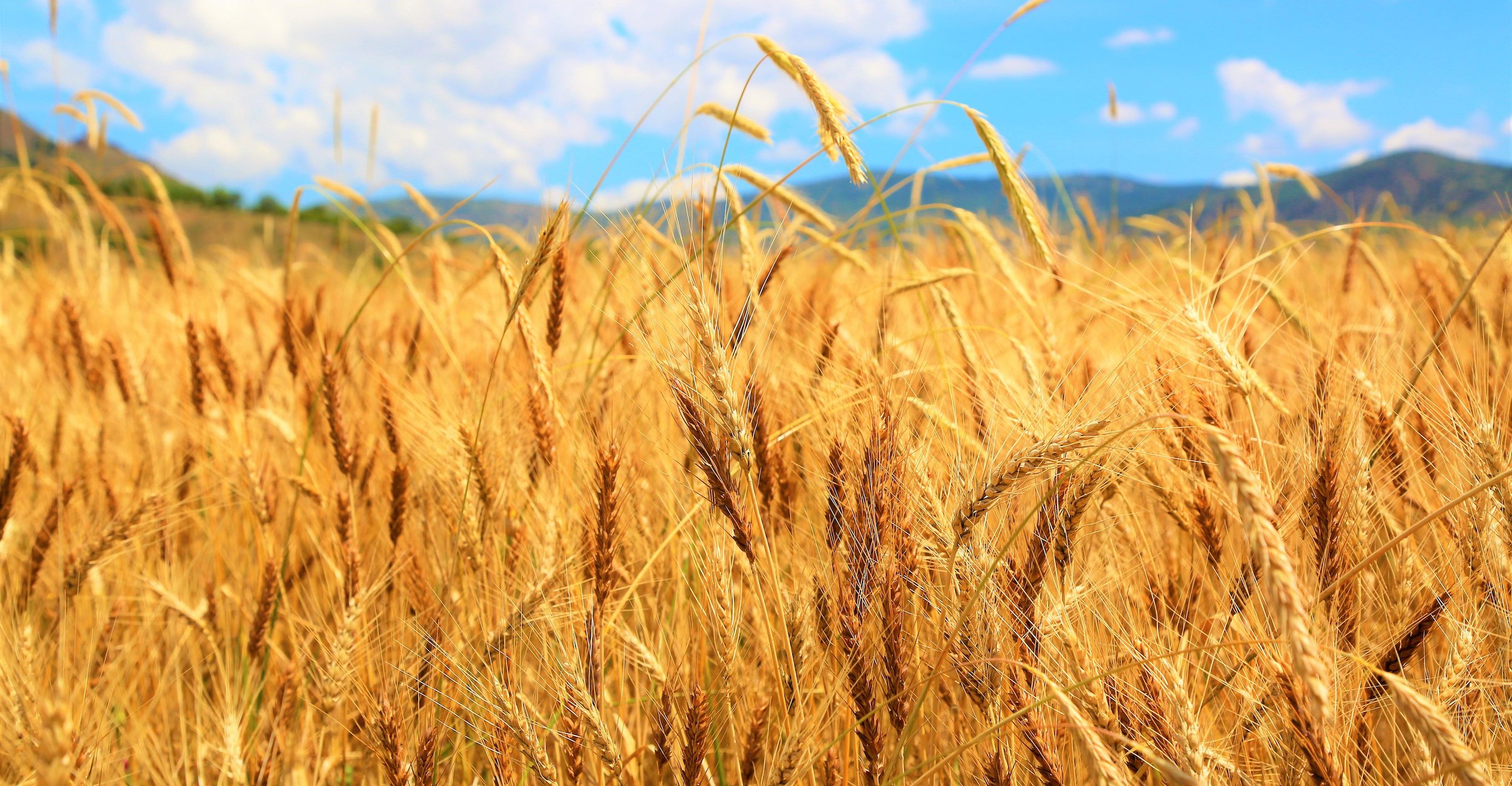 Cost-of-living-crisis? An apocalypse of our own making?