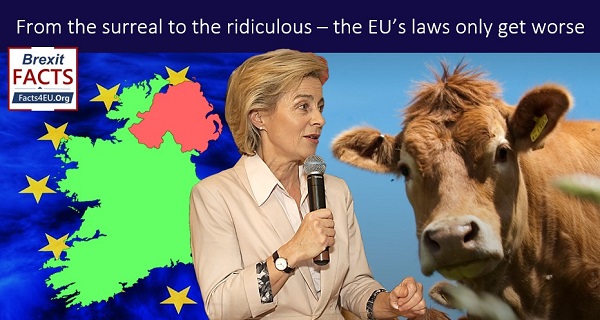 From the surreal to the ridiculous – the EU’s laws only get worse