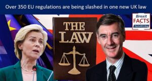 The bonfire of the EU’s vanities – a Brexit bonanza for the UK’s small employers