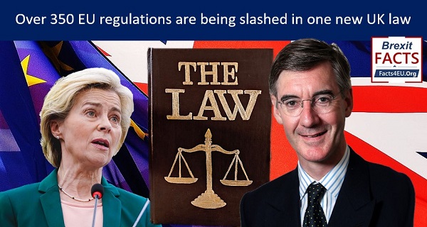 The bonfire of the EU’s vanities – a Brexit bonanza for the UK's small employers
