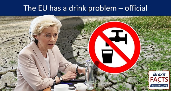 The EU has a drink problem – official