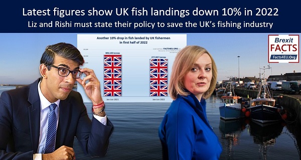 EXCLUSIVE: UK fish landings down 10% in 2022 - where’s the Brexit dividend?