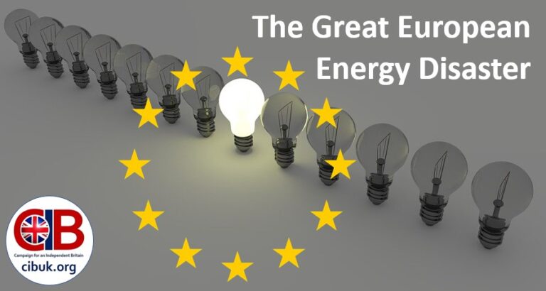 The Great European Energy Disaster