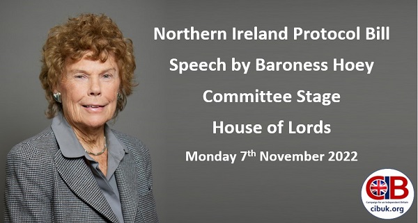 Northern Ireland Protocol Bill - Speech by Baroness Hoey
