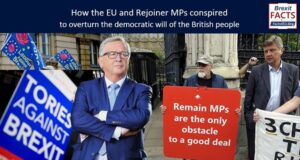 “The EU and Remoaner MPs conspired to overturn the democratic will of the British people – let’s place the blame firmly where it lies”