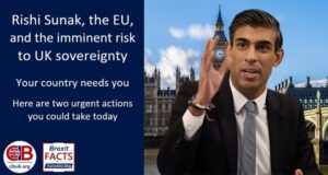 Sunak, the EU, and the imminent risk to UK sovereignty – Your country needs you today