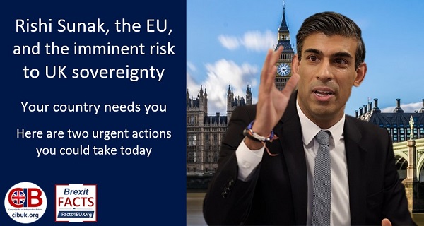 Sunak, the EU, and the imminent risk to UK sovereignty - Your country needs you today