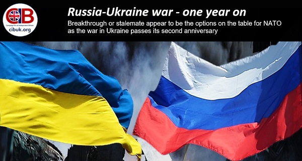 Russia-Ukraine war - one year on