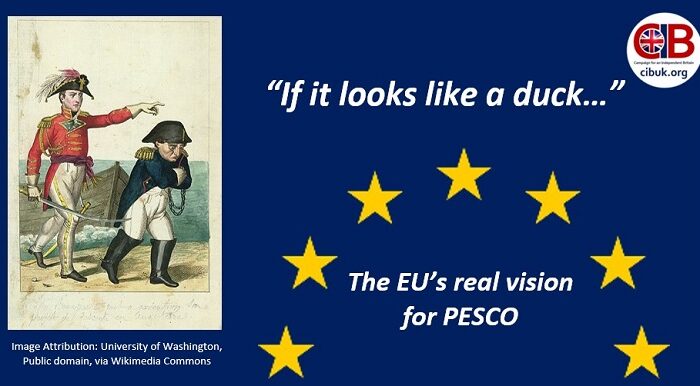 “If it looks like a duck…” - The EU’s real vision for PESCO