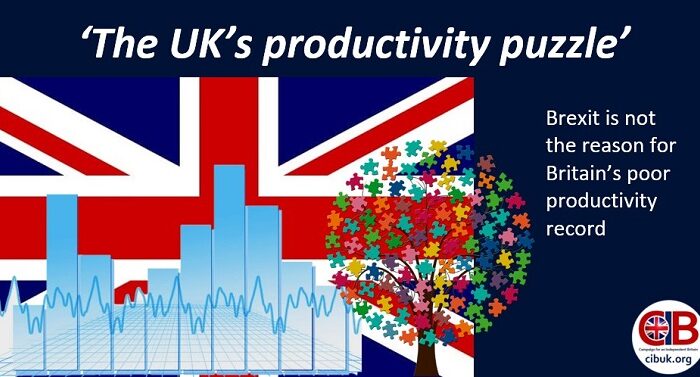‘The UK’s productivity puzzle’