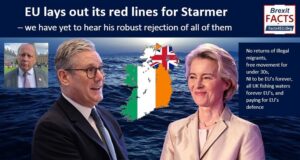 ‘All I want for Christmas is EU’